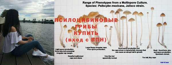 кокс Богданович