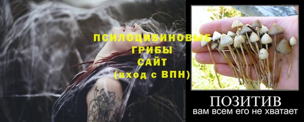 первитин Богородск